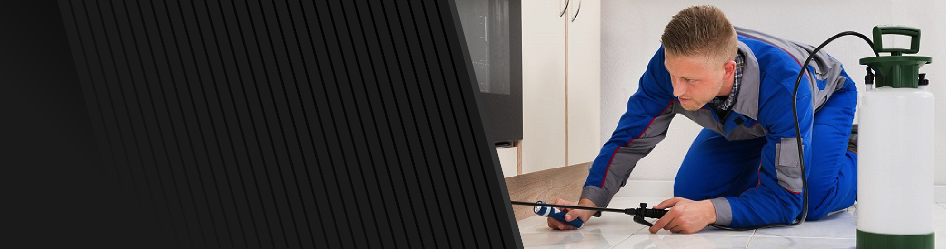 A&A Total Pest Solution — Pest Control