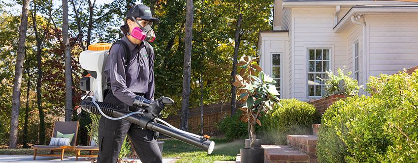 Mosquito Control